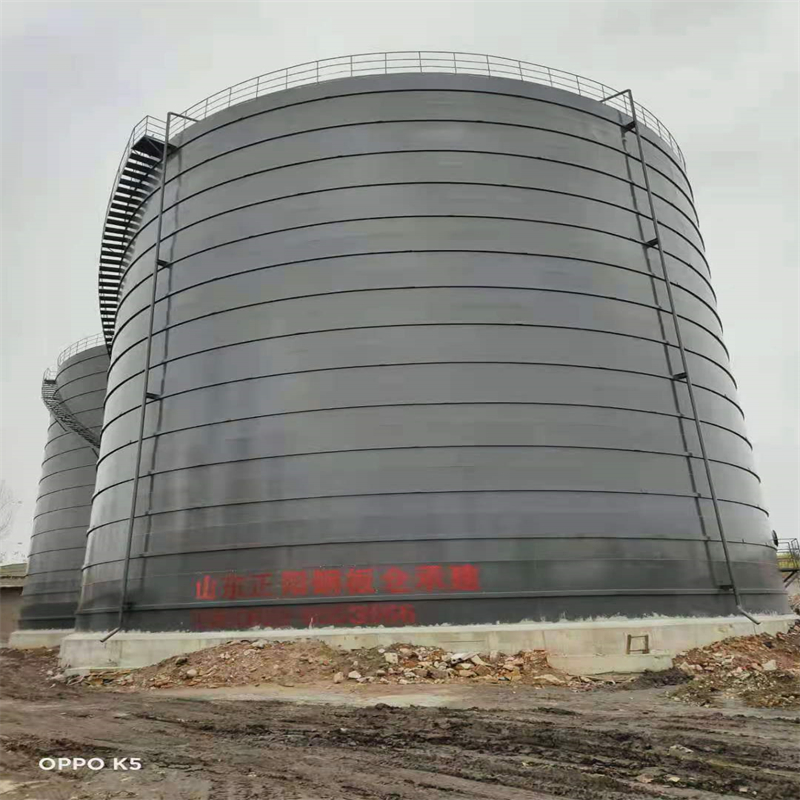 仁兴镇3万吨大型钢板库